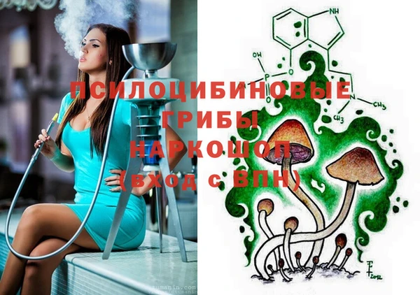 кокаин премиум Ельня