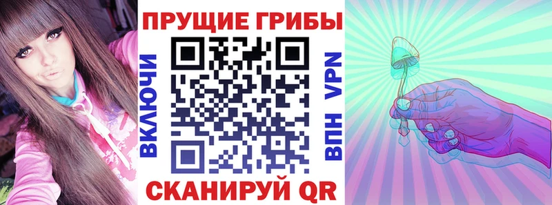 Купить где  Завитинск  Галлюциногенные грибы Cubensis 