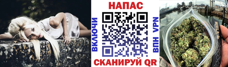 Бошки Шишки SATIVA & INDICA  Купить  Завитинск 